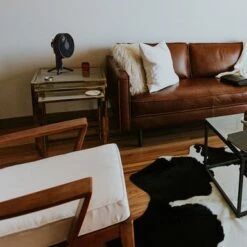 Sharper Image - SPIN 10 Oscillating Table Fan - Black 7 Sharper Image - SPIN 10 Oscillating Table Fan - Black -Vornado || Honeywell || LG Shop 2acab330 5aa2 5408 acc5 da8bba4c7118