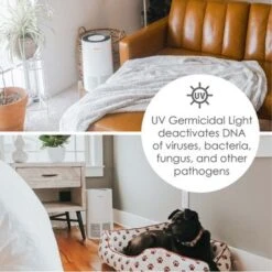 Crane True HEPA Air Purifier With UV Light For Rooms Up To 300 Sq. Ft. - White -Vornado || Honeywell || LG Shop 3d8d6a2d 5273 4a8b ab40 9d89d66ac0c5