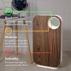 OVAL AIR 3-Stage H13 True HEPA 5-in-1 Air Purifier For Rooms Up To 600 Sq. Ft. Reduces Allergies, Asthma, Pets, Odor, Smoke - Light Wood -Vornado || Honeywell || LG Shop 44e6af1e 22be 4160 bad8 6033f8174a62