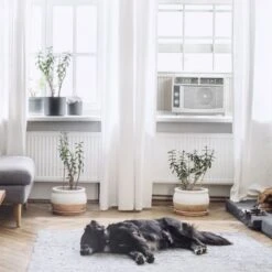 5000 BTU Mechanical Window A/C DOE ISTA 6 -Vornado || Honeywell || LG Shop 60e88b04 27e4 40ee 9d24 07ea0b2a3237