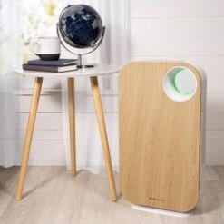 OVAL AIR 3-Stage H13 True HEPA 5-in-1 Air Purifier For Rooms Up To 600 Sq. Ft. Reduces Allergies, Asthma, Pets, Odor, Smoke - Silver -Vornado || Honeywell || LG Shop b7551e96 0d0b 4b25 b757 3de7bbacd624