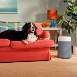 Blueair - Blue Pure 311i Max 387 Sq. Ft Smart HEPASilent Medium Room Bedroom Air Purifier - White/Seabed -Vornado || Honeywell || LG Shop e12e51e4 bf7d 5baf 8854 fd4239d47308