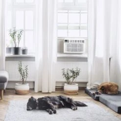 8000 BTU Electronic Window A/C W/Remote DOE ISTA 6 R32 -Vornado || Honeywell || LG Shop e79ac6c2 f361 487a b51b 558db89def52