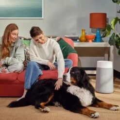 Blueair - Blue Pure 411i Max 219 Sq. Ft HEPASilent Smart Small Room Bedroom Air Purifier - White/Gray -Vornado || Honeywell || LG Shop e80b1ea4 0312 581d 81a3 2ba6eda1b52f