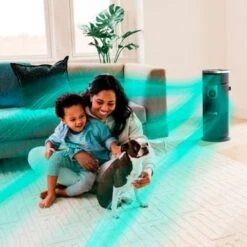 Shark - 3-in-1 Air Purifier, Heater & Fan With NanoSeal HEPA, Cleansense IQ, Odor Lock, For 500 Sq. Ft - Grey -Vornado || Honeywell || LG Shop e9dc65c6 fcb7 567c 94fb fc038be28481